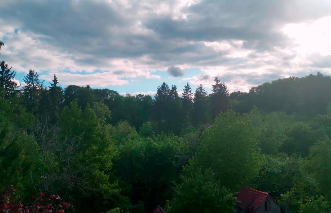 Ferienwohnung Im Manbach Freudenstadt Bagian luar foto