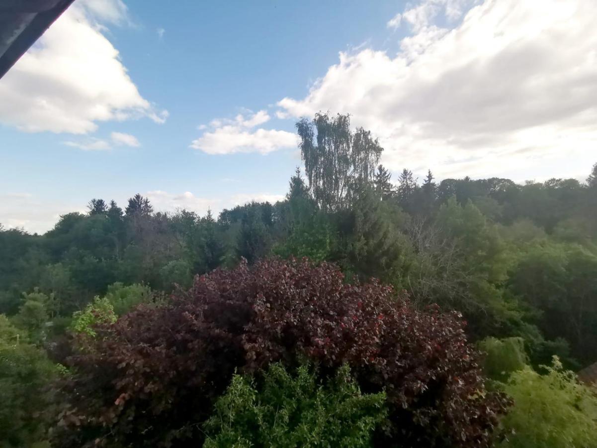Ferienwohnung Im Manbach Freudenstadt Bagian luar foto